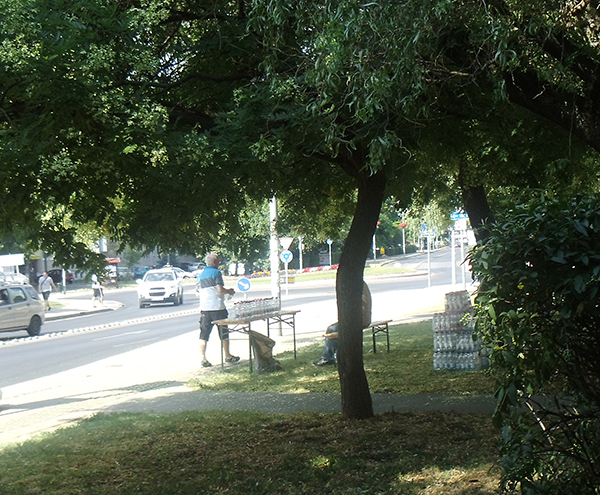 budaors_kanikula_vizosztas_2013jul28