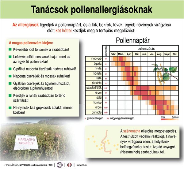 tanacsok_pollenallergiasoknak_parlagfu