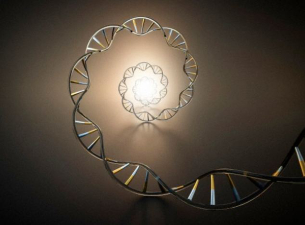 dns_orokites_tudomany_dns_spiral