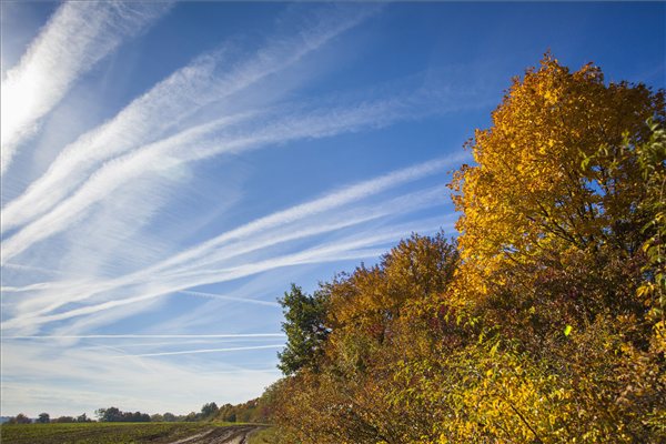 osz_idojaras_zala2013_oszi_taj_falevelek