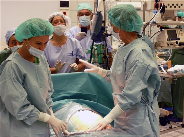 debrecen_agyhalott_no_gyermeke_0