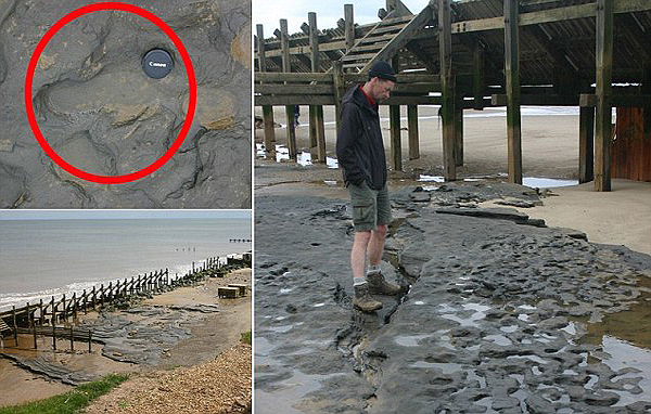 legregebbi_labnyomok_europa0_anglia