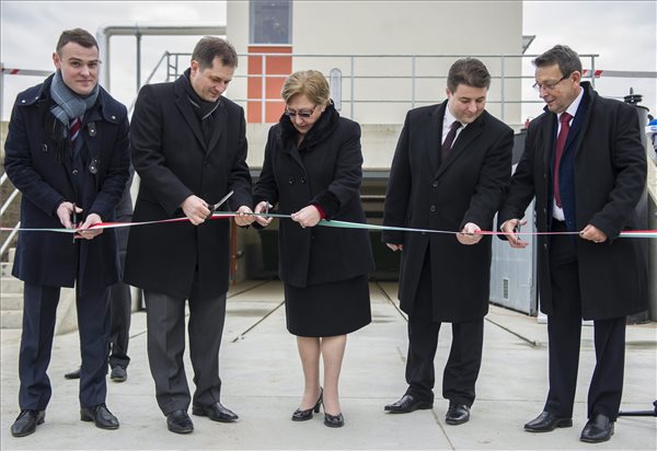 nemeth_laszlone_2014szarvas