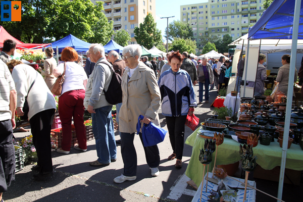 budaorsi_piac_megnyito