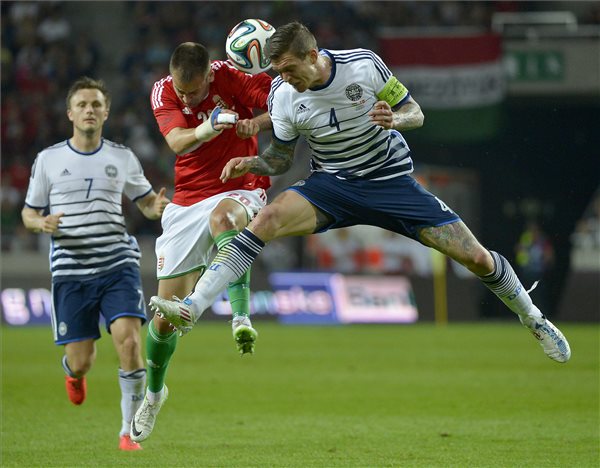 magyaro_dania_baratsagos_foci_meccs2_2014maj22