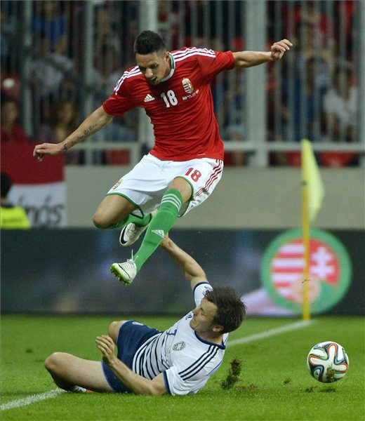 magyaro_dania_baratsagos_foci_meccs_2014maj22