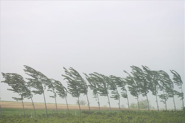 viharos_szel_vihar_zala2014majus