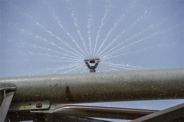 ontozes_mezogazdasag_novenytermesztes