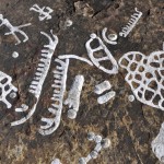 bronzkori_telepules_dabas_kakucs_asatas