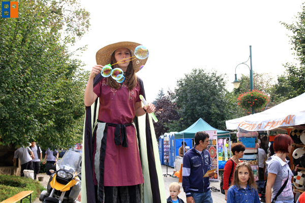 2014_budaorsi_vigassagok_8