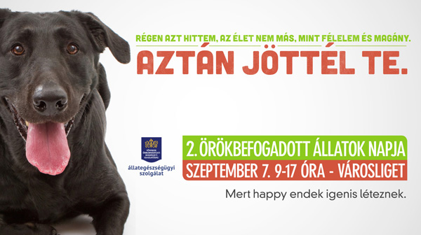 orokbefogadott_allatok_napja_2014
