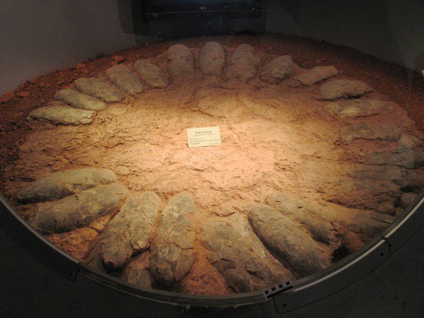 dinoszaurusz_feszek_tojasok