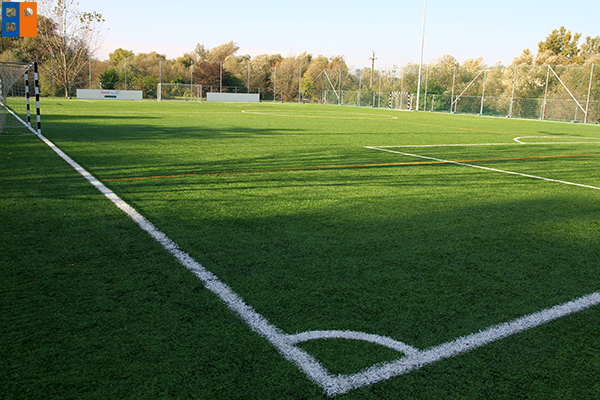 kamara_erdo_foci_palya