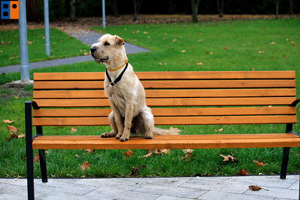 kutyabarat_egyesule4t