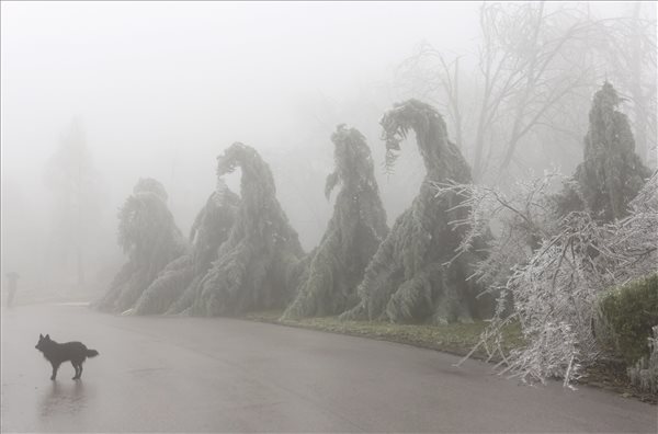 onos_eso_fagy_tel_idojaras_jeg_hideg_budapest_kutya_2014dec