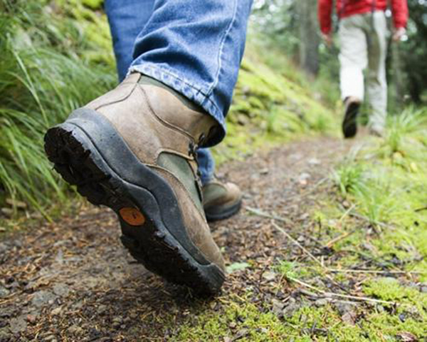 hiking-shoe