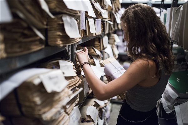 diakmunka_nyiregyhaza_onlormanyzat_2015jul