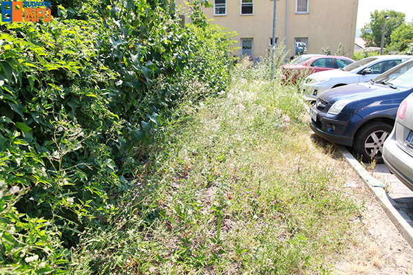 europmed_melletti_terulet8