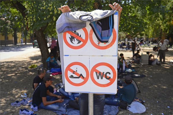 illegalis_bevandorlok_migransok_menekultek_2015jul_magyar_szerb_hatar