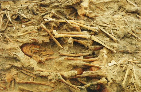 napoleon_serege_csontvaz_vilniusz_2015