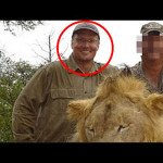 zimbabwe_cecil_oroszlan_megoloje
