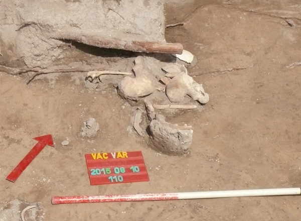 vac_asatas_i_geza_sirja_2015aug