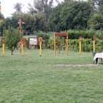 szoloszuret_csikipihenokert