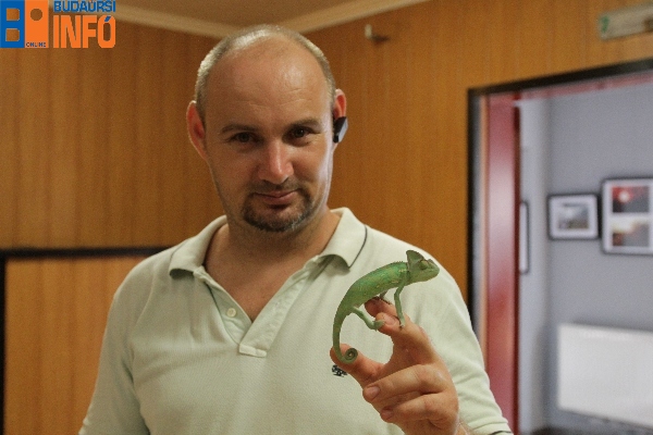 ifjusagiklub_kisallatsimogato (12)