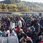 migransok_osztrak_szloven_hatar_2015okt24