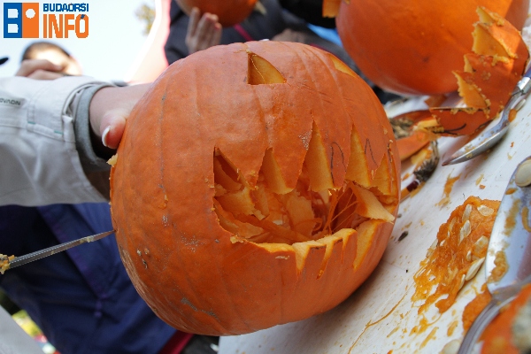 tokfaragas_gazdapiac_10_24 (4)