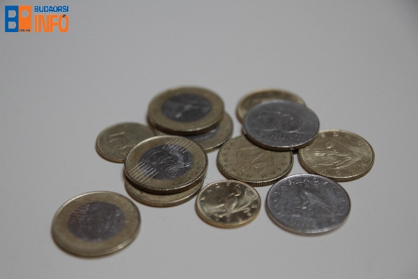 penz (9) forint gazdasag fizetes