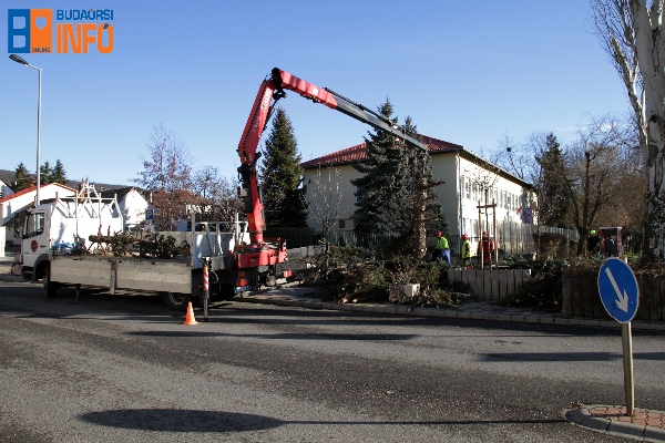 2016_karacsonyfa_varoshaza2