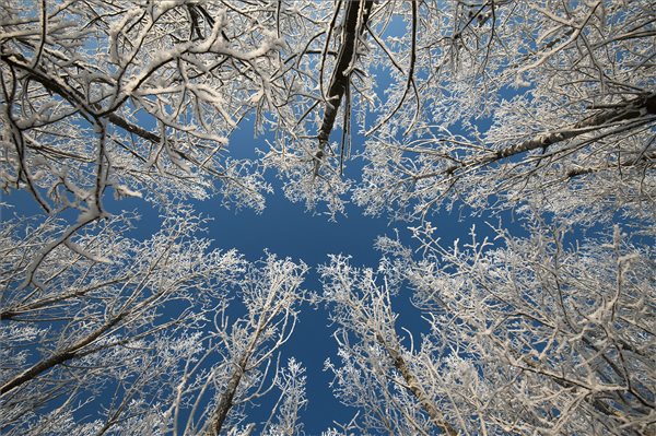 tel_zuzmara_hideg_teli_idojaras_