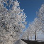 tel_zuzmara_hideg_teli_idojaras_2