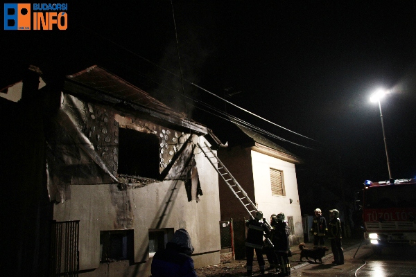 tuzeset_16_02_16_bor_utca6