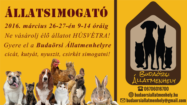 allatsimogato_menhely