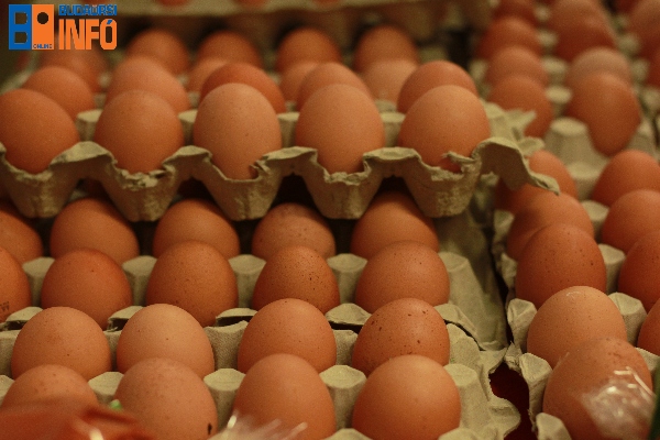 sonka_kolbasz_osztas_gazdakor_voroskereszt9