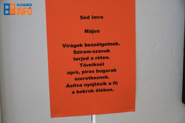 kalandozasok_kiallitas_varoshaza11