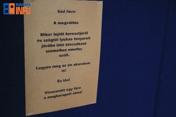 kalandozasok_kiallitas_varoshaza2