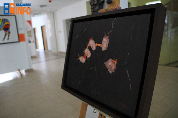 kalandozasok_kiallitas_varoshaza8