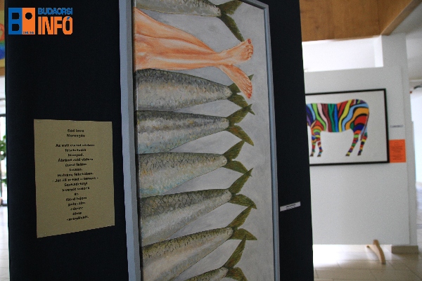 kalandozasok_kiallitas_varoshaza9