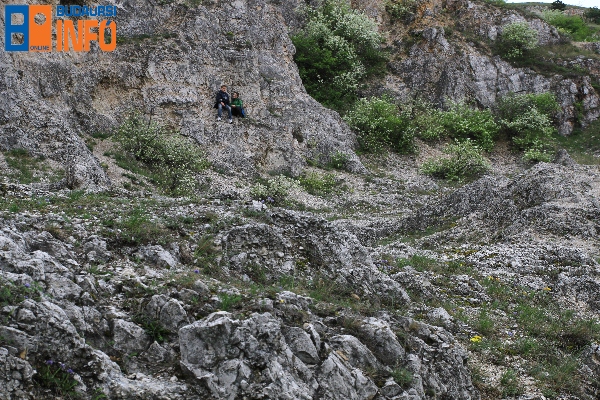 16_04_10budaorsi_koparok_teljesitmenytura6