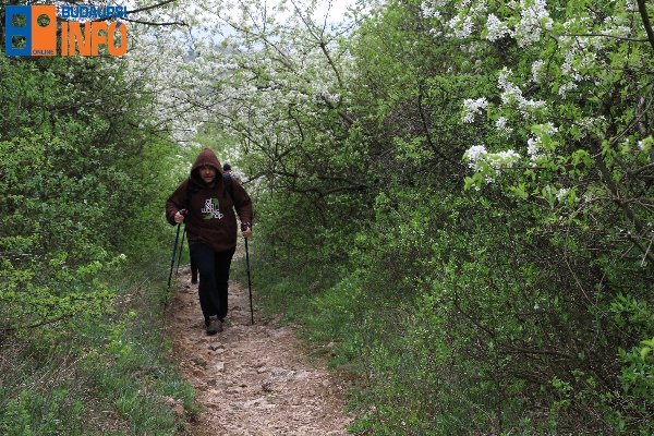 16_04_10budaorsi_koparok_teljesitmenytura7