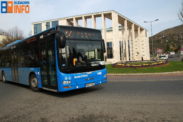 240_busz