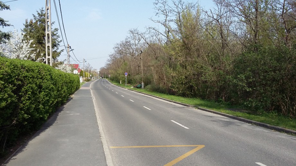 baross_u_budaors_bauhaus_auchan