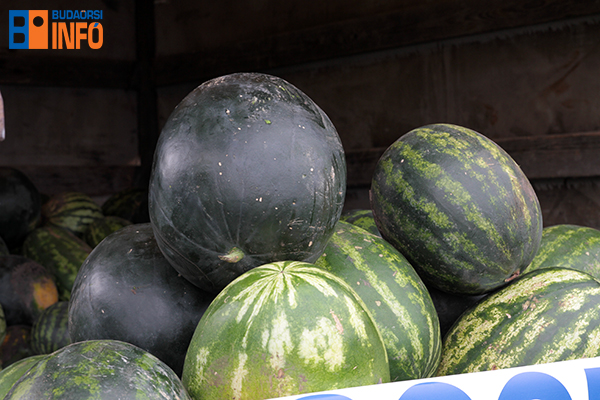 16_07_27_dinnye_demonstracio11