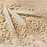 arpa_gabona_arpaszemek