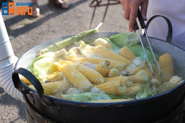 kukorica_gazdapiac (2)