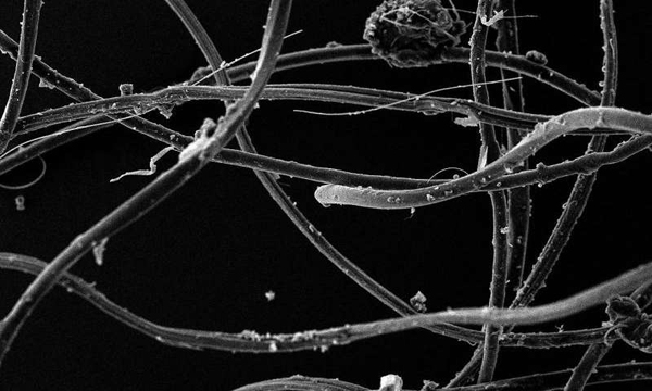 mikroszallak_ruhamosas