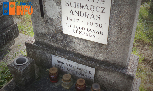 schwarz_andras_1956_budaors